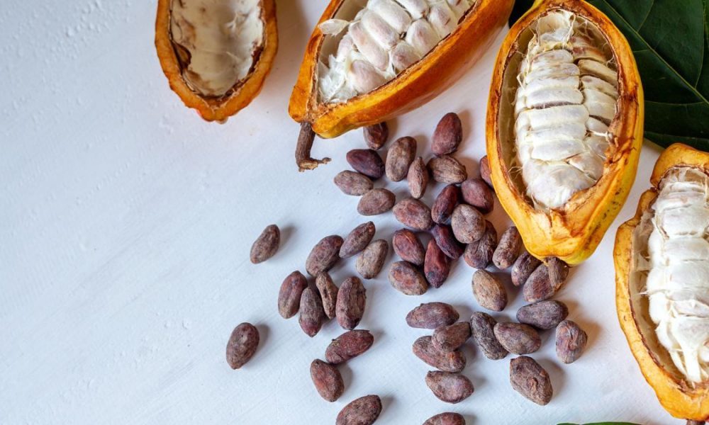 Cacao beans beside open cacao pods